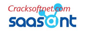SaasAnt Transactions V3.1 Full Version Crack
